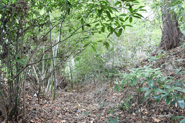 結城氏館跡 堀跡