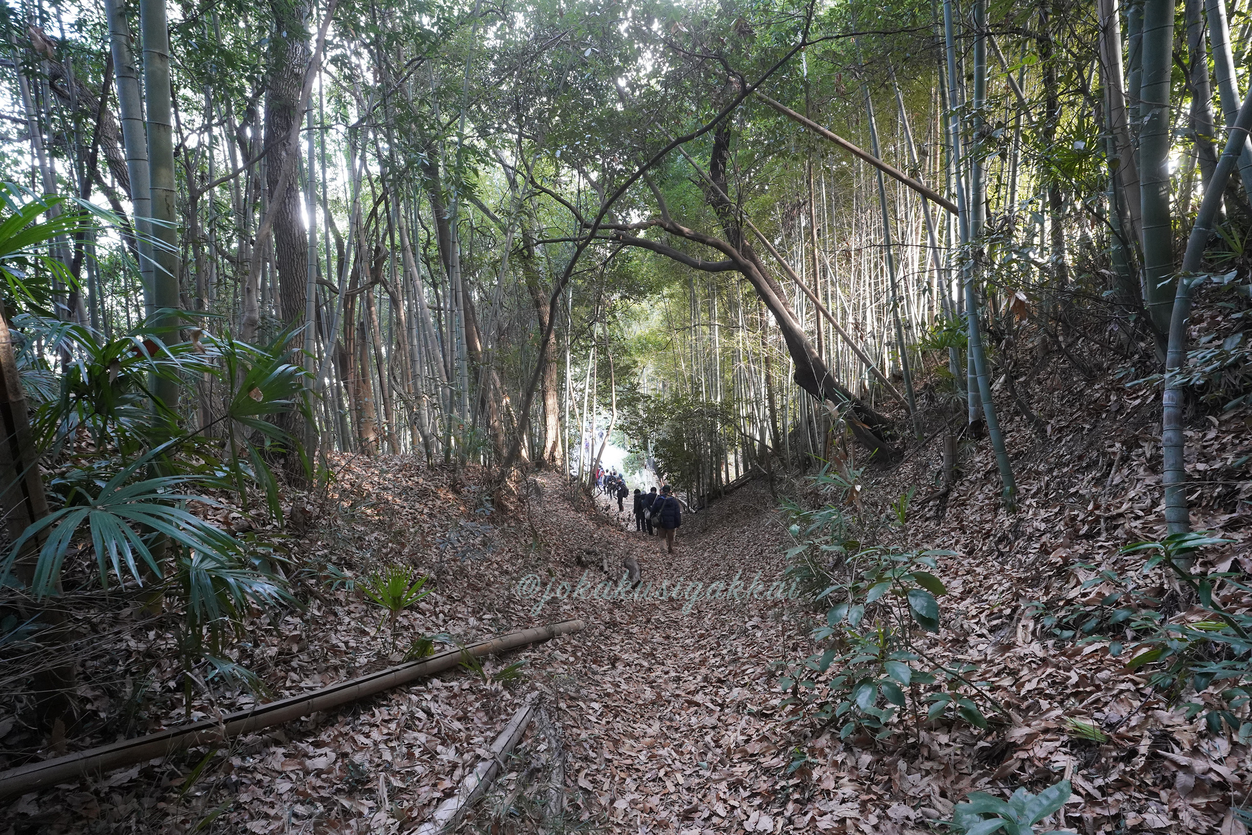 日本城郭史学会