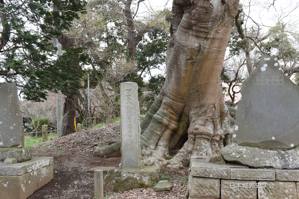 藤沢城髪塔塚