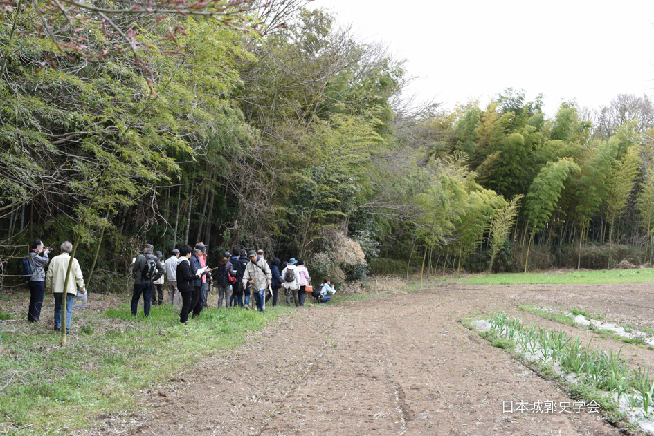 藤沢城城内①