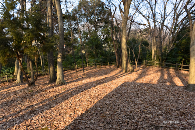 滝の城出郭